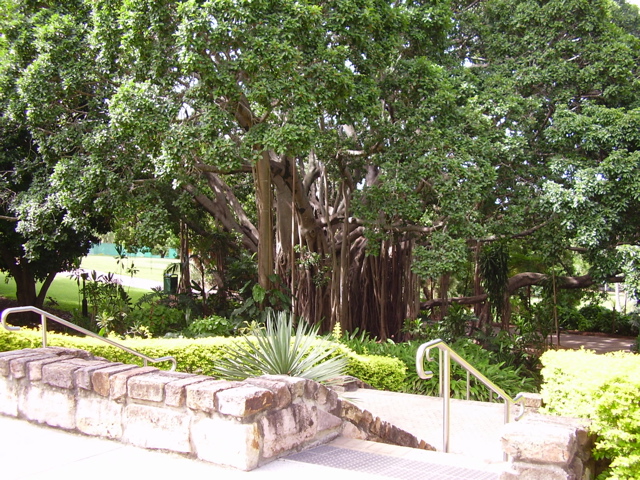 P1010002.JPG