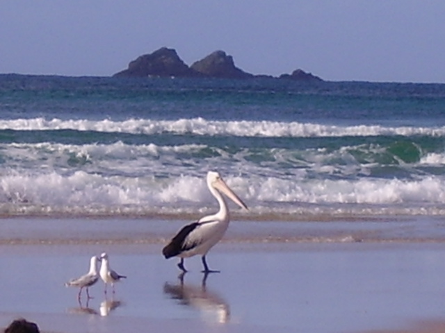 P3150050.JPG