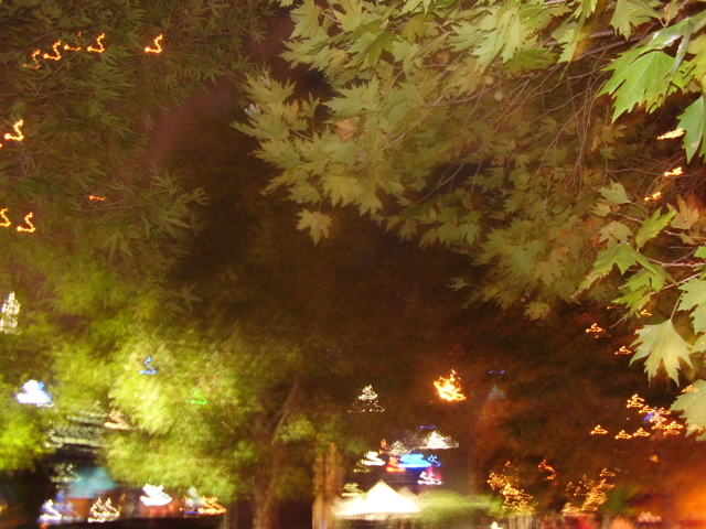 P3170062.JPG