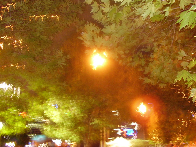 P3170063.JPG