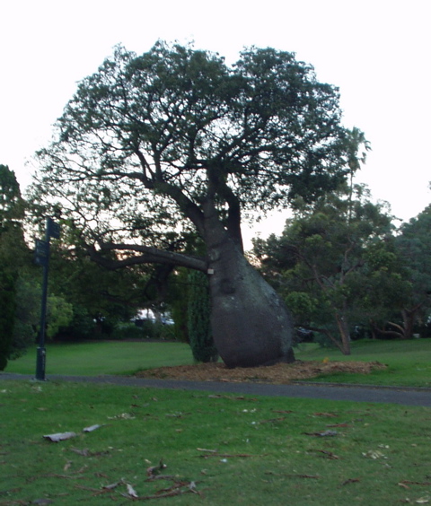 P1010068