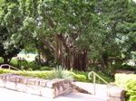 P1010002.JPG