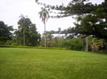 Picture 002