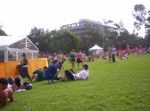 Picture 006