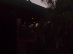 Picture 022