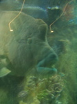 P1010014