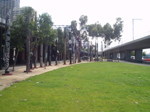 P1010025